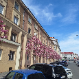 Pronájem bytu 2+1(3+kk) 67 m² Mánesova, Hradec Králové - 2