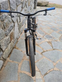 Kellys whip 30 - 2