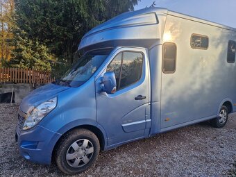 Přepravní na koně Renault Master Paragan Excelsion 5 - 2