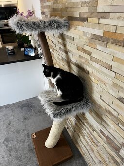 Škrabadla pro kočky - 2