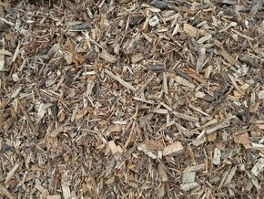 Listnata štěpka - 2