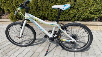 Superior Paint 20 - 2