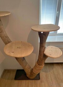 Bytelný kočičí strom z ořechu - 2
