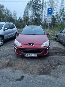 Peugeot 407 sw - 2