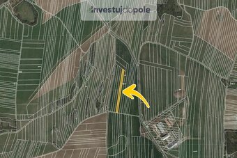 Prodej pole v k.ú. Ostrov u Macochy - 2