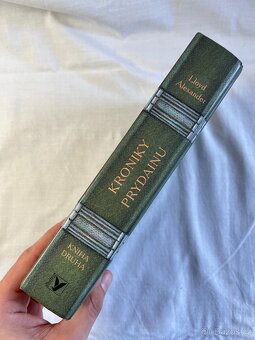 Kroniky Prydainu - kniha druhá - Lloyd Alexander - 2