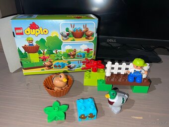 Lego Duplo 10581 - Divoké kachny - 2