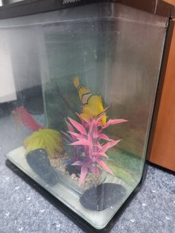 Akvárium MARINA Betta Kit Zen 3l - 2