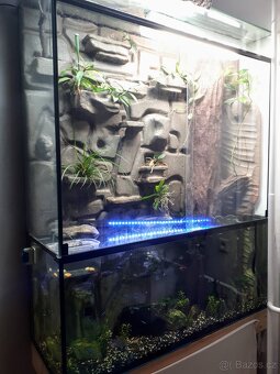 Paludarium - 2