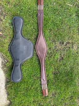 Podbrišník - 2