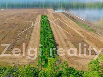 Prodej meruňkového sadu – 8 494 m², Zaječí - 2