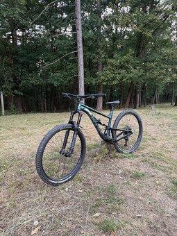 Kellys thorx 50 2025 - 2