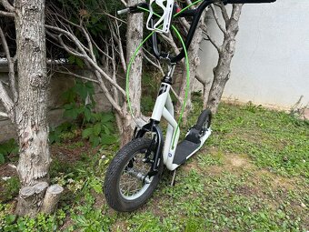 Koloběžka Yedoo OX Dětská ale i pro Dospělé - 2