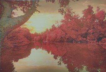 Obraz 116cm/80cm - 2