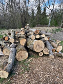 Prodej štípaného dřeva nebo kulatina na topení - 2