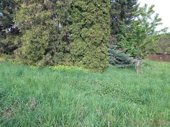 Prodej pozemku 308 m² - Blansko - Těchov - 2