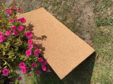 Prodám korkovou desku d.100 š.55 cm síla3,2 cm - 2