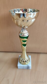 Velký sportovní pohár - 2