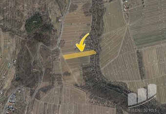 Prodej pole 4 465 m², Újezdec, ev.č. 2025-01-06-3 - 2