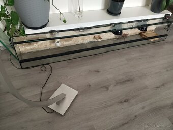 Terárium 200x30x30cm - 2