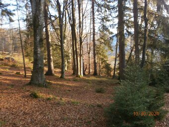 Prodej pozemků 4029 m2 v k.ú. Hojsova Stráž - 2