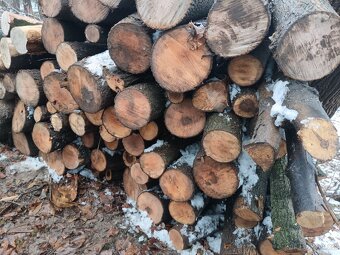 Suché tvrdé dřevo - 2