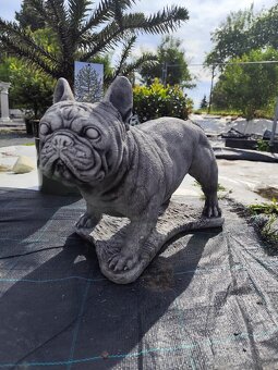 Socha buldok velký malý - 2