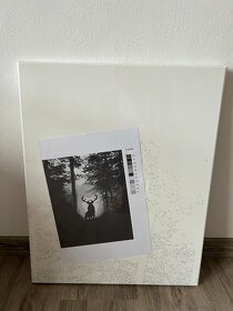 Obraz Jelen Namaluj si sám - 2