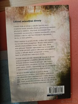 Léčení minulými životy - 2