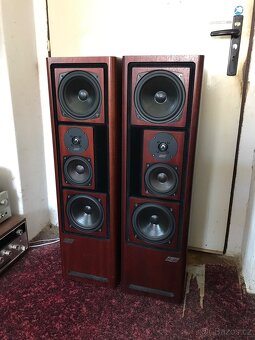 ASW Cantius ml V - 2