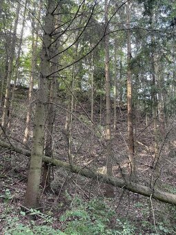 Prodám pozemky v k.ú. Útěchov u Moravské Třebové - 2