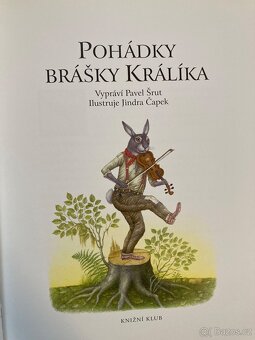 Pohádky Brášky Králíka - 2