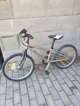 Dětské kolo 20 - 2
