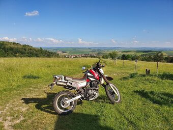 Suzuki DR 650 Djebel 1990 - 2