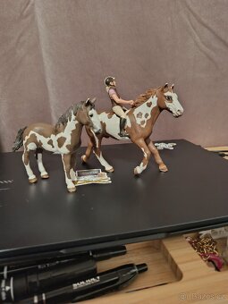 Schleich set - 2
