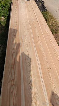 Plotovky modřín - 2