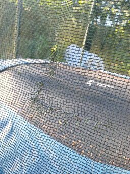 Trampolína 3 m - 2