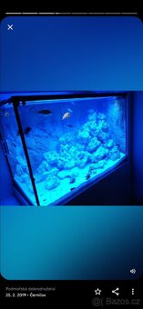 Akvarium set Led osvětlení EHEIM modré světlo - 2