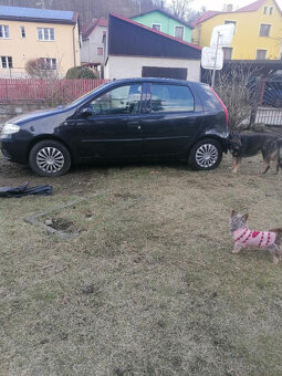 Prodam Fiat Punto. 2003. V dobrom stave. Pjizdne - 2