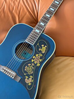 Epiphone FT110.  FRONTIER - 2