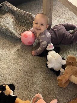 Králíkárna 4. Kotce - 2