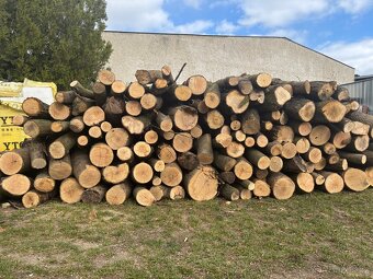 Tvrdé dřevo Dub Jasan 1350,- - 2