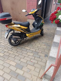 Maxon forcer 50 - 2