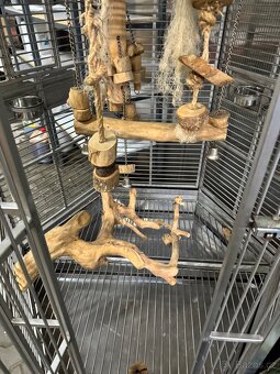 Klec na papoušky nerezová - 2