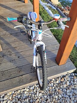 Superior Paint 20"- PĚKNÉ - 2