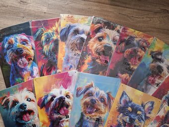 Plechová cedule 20x30cm JORKŠÍR - 2