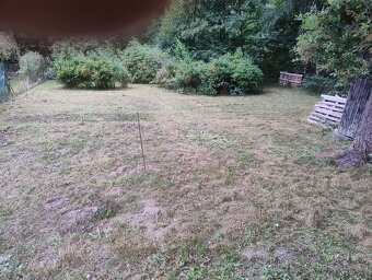 Zahrada v Zákupech - 2