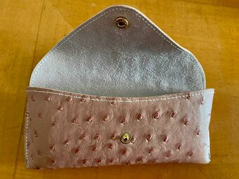 Pouzdro na brýle - 2