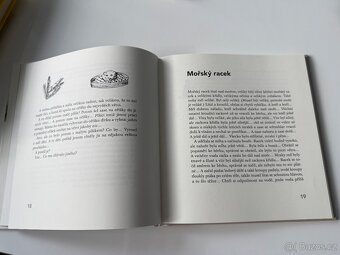 Kniha - D.Mrazkova - Auto z pralesa - 2