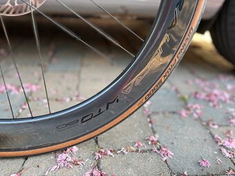 Campagnolo BORA ULTRA WTO 60 DB, model 2025 - 2
